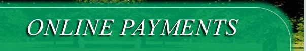 Online Payments