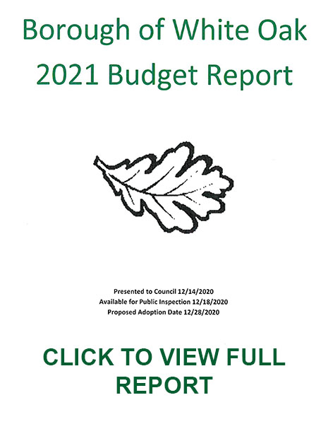 2021 Budget Report